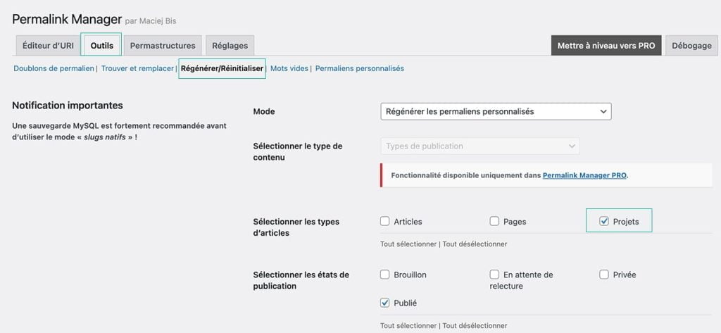 Permalink Manager Lite - Régénérer / Réinitialiser les URL projets sur Divi