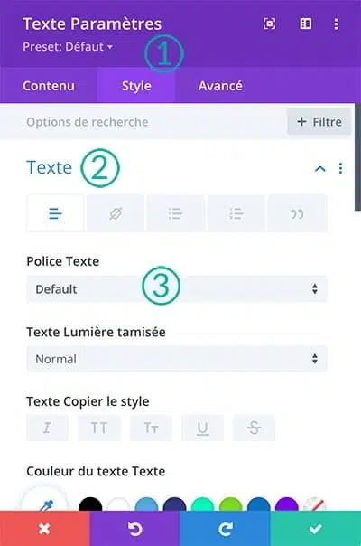 Ajouter une police sur Divi - Depuis le Module Texte