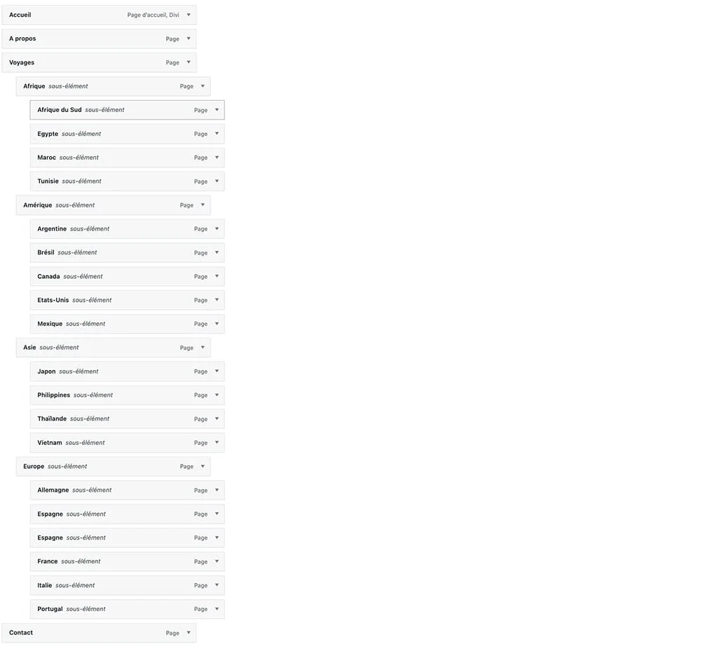 Divilogy - Blog - Tutoriels & Optimisation Divi - Comment créer un mega menu avec Divi ? - Étape 2